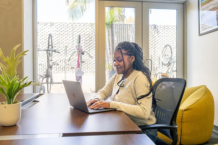 Gallery Picture 29